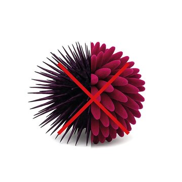 Leva polovica je od pravega morskega ježka, desna je igrača.